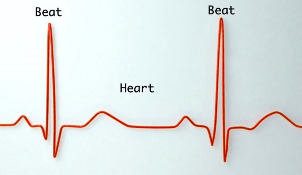 Modello di crescita Heartbeat