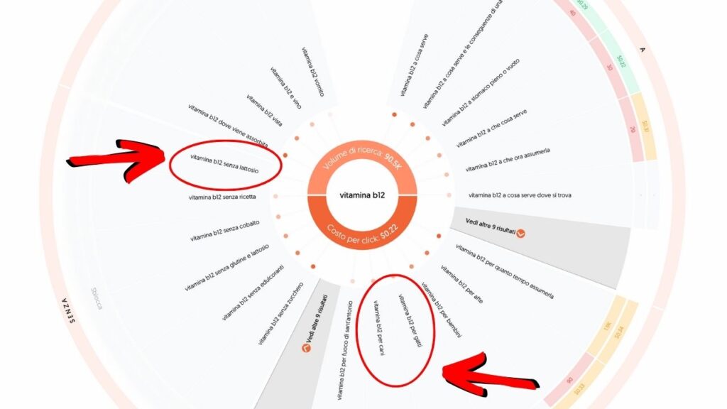 Grafico di ricerca su AnswerThePublic per il termine vitamina b12