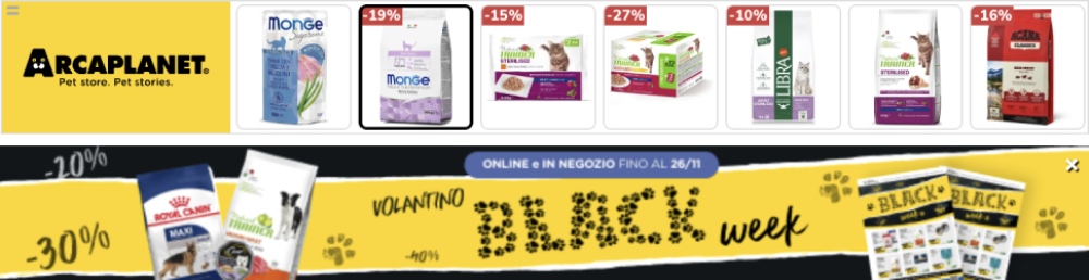 Esempi di campagne display Google Ads di Arcaplanet