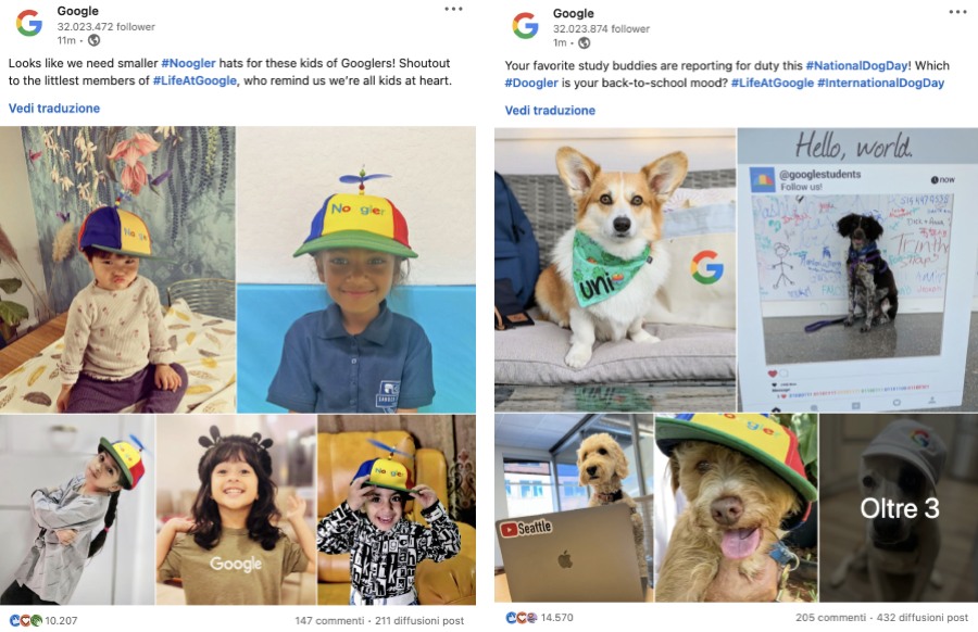 Contenuti LinkedIn di Google con immagini di cani e bambini